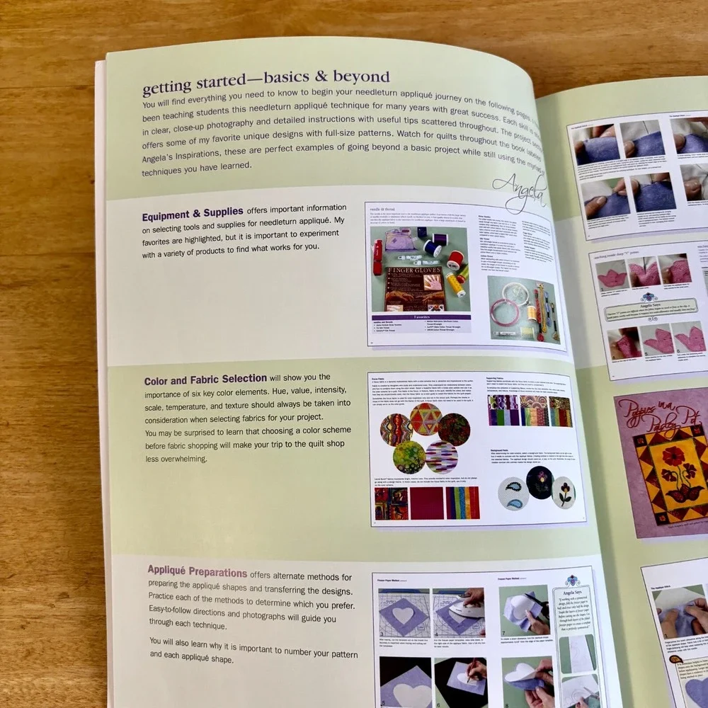 Needleturn Appliqué the Basics & Beyond: 9 Colorful Projects WITH‎ PATTERNS NEW